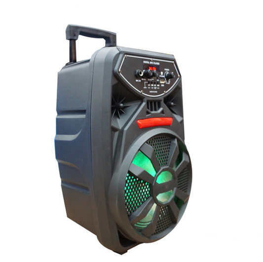RoamRhythm 8" Outdoor Bluetooth Speaker