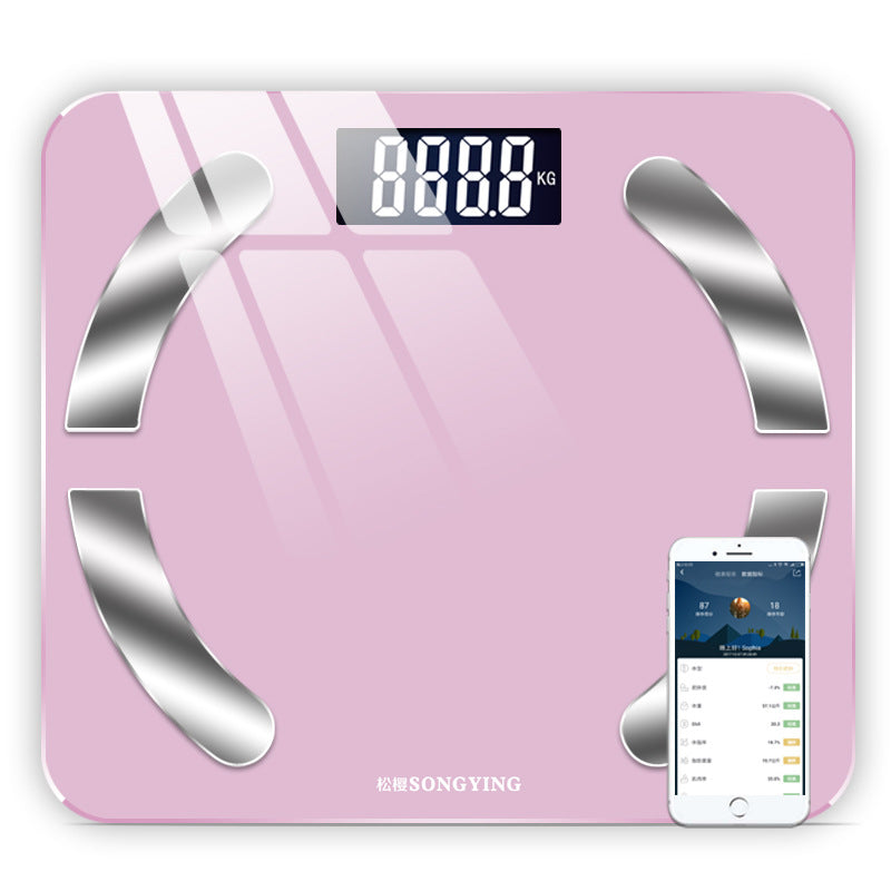 Smart Health Companion Scale